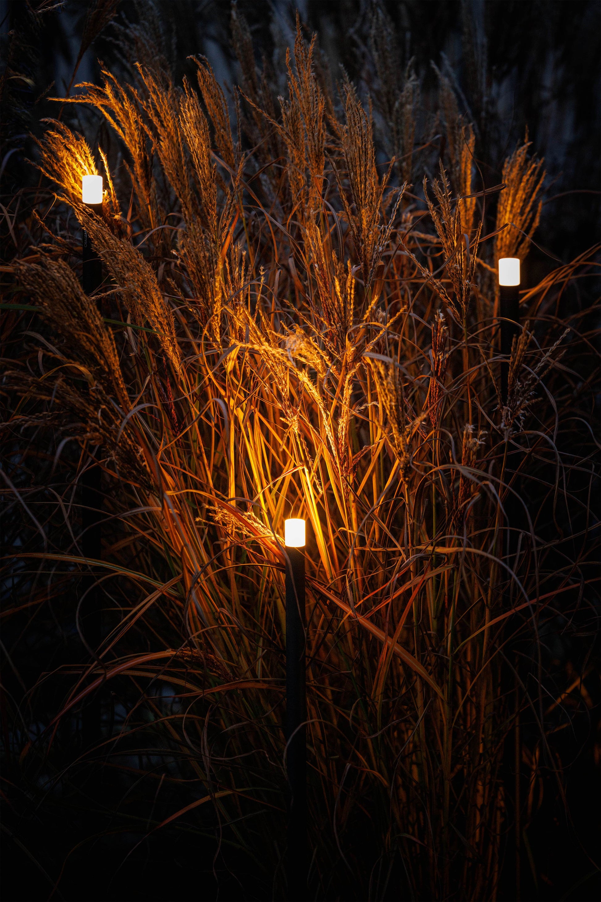 LightPro 12 volt tuinverlichting Erba Staande lampen sfeer