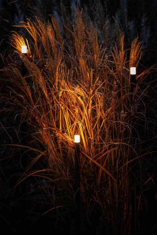 LightPro 12 volt tuinverlichting Erba Staande lampen sfeer