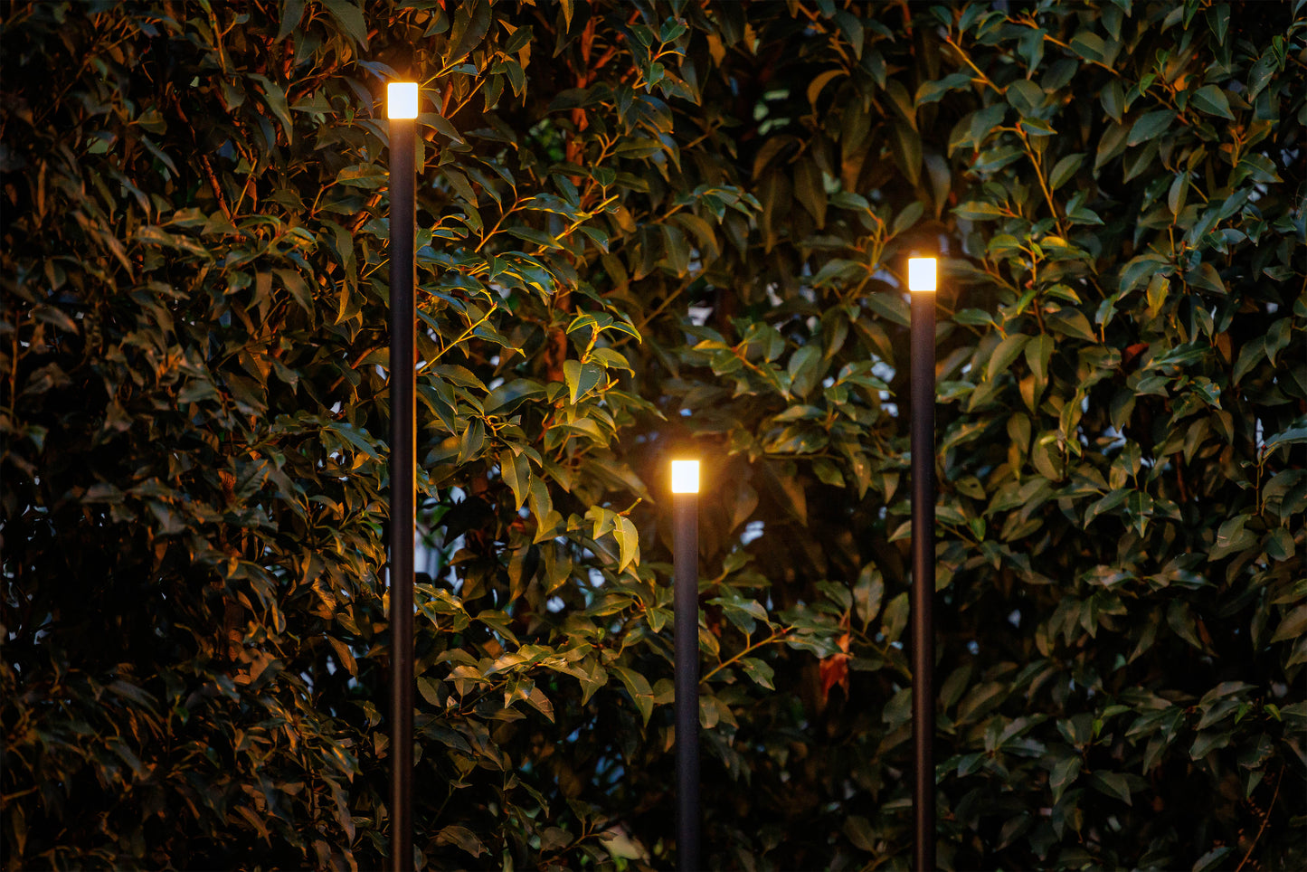 LightPro 12 volt tuinverlichting Erba Staande lampen sfeer 2