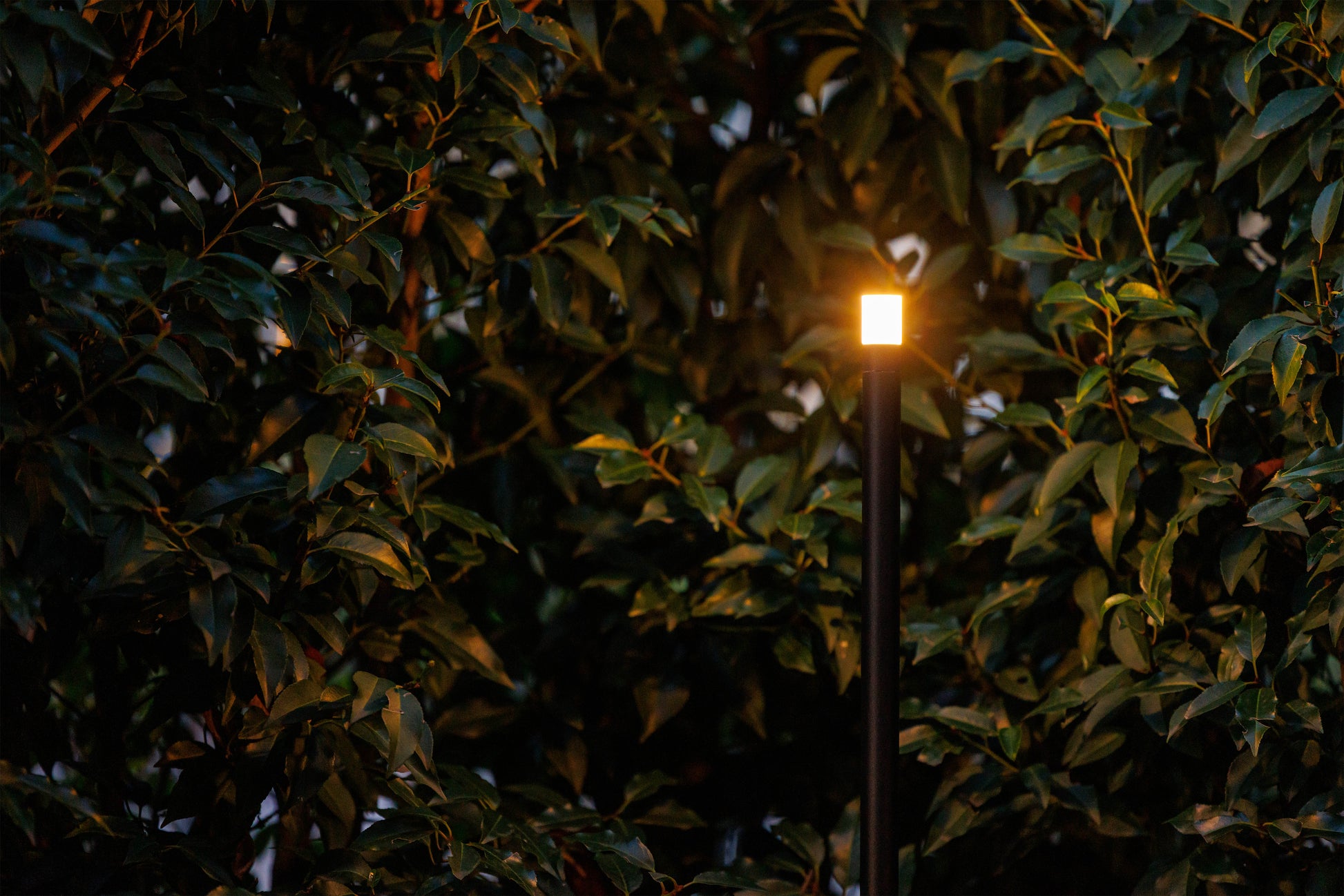 LightPro 12 volt tuinverlichting Erba Mid Staande lampen sfeer