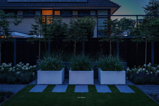 Donkere tuin met geïnstalleerde verlichting