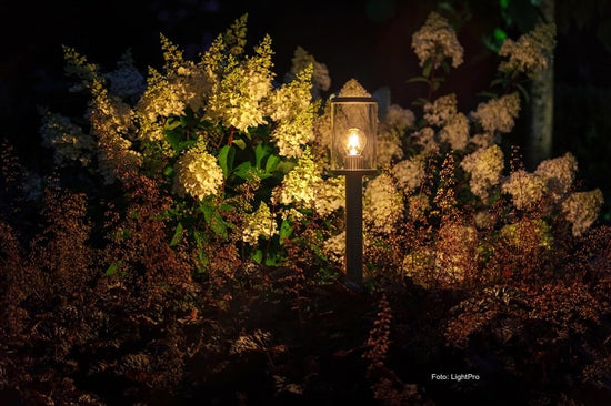 Sfeervolle buitenlampen en tuinverlichting
