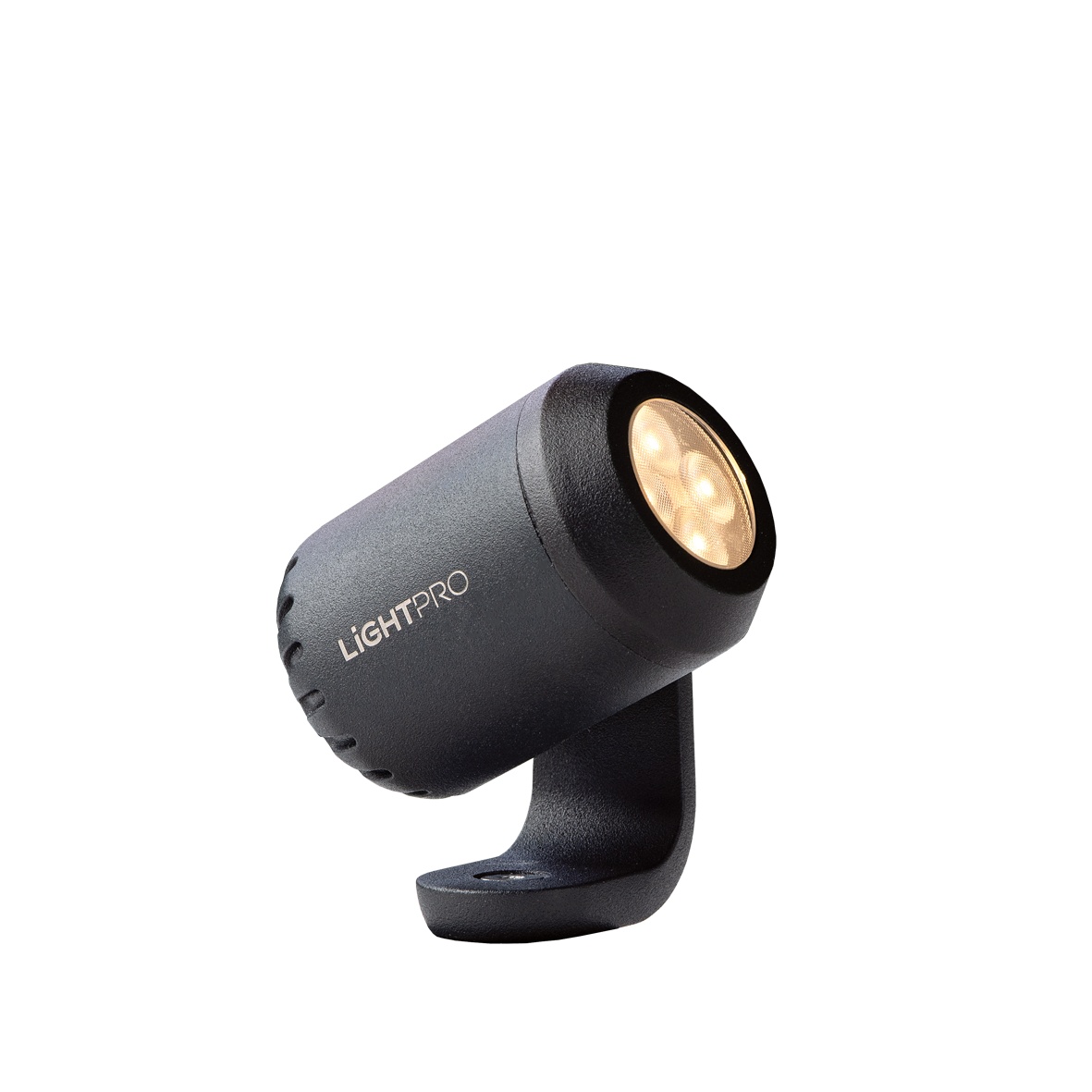 LightPro 12 volt tuinverlichting Juno 2 Spot